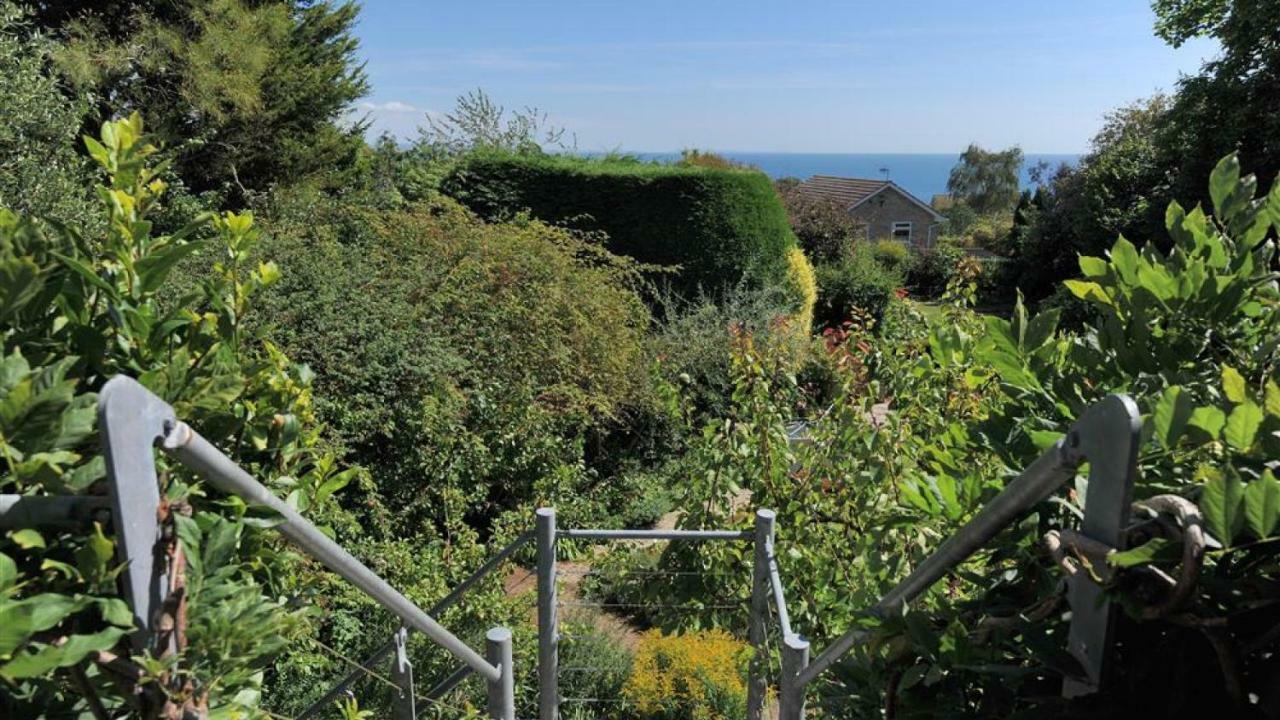 Little West Hill Studio Lyme Regis Kültér fotó