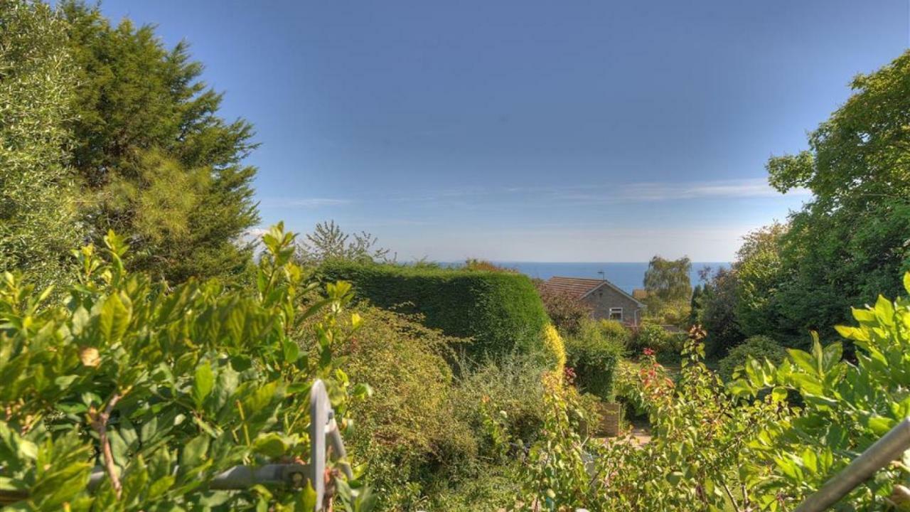 Little West Hill Studio Lyme Regis Kültér fotó